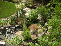 Beautiful garden with a pond