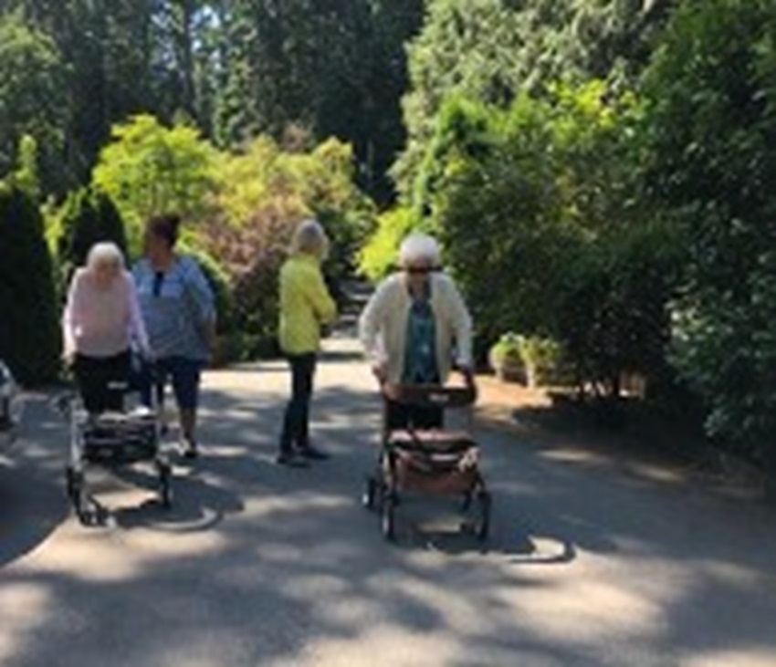 Group of Elderly woman Walking