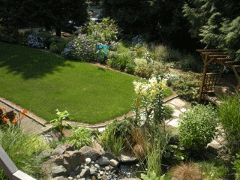 Beautiful garden with a pond